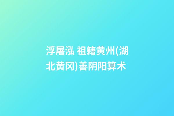 浮屠泓 祖籍黄州(湖北黄冈)善阴阳算术